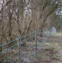 L23/200/15 STOCK FENCE GALV 50m ROLL (DEER FENCE)