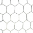 Image for WN12002520