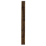 Image for TSPB1210016G2