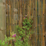 Image for Bamboo Screening - Cane