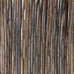 Image for Willow Screening