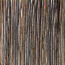 Image for FGSWS1