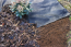 Image for TDWCF115