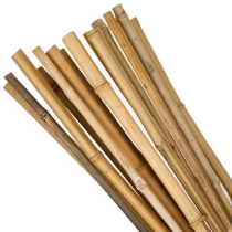 BAMBOO GARDEN CANES 6' (183CM) PACK/10