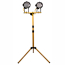 Image for LBAT42910