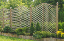 European / Jagram Trellis