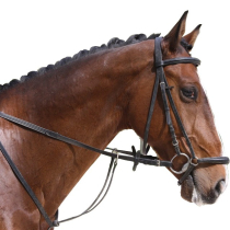 Equestrian Products