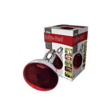 250w RUBY INFRA RED BULB E/S SINGLE