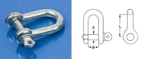 Dee Shackles