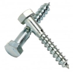 Image for Coach Screws