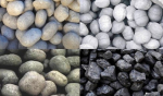 Image for Coal
