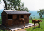 Image for Roofing Products